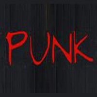 Punk India discount coupon codes